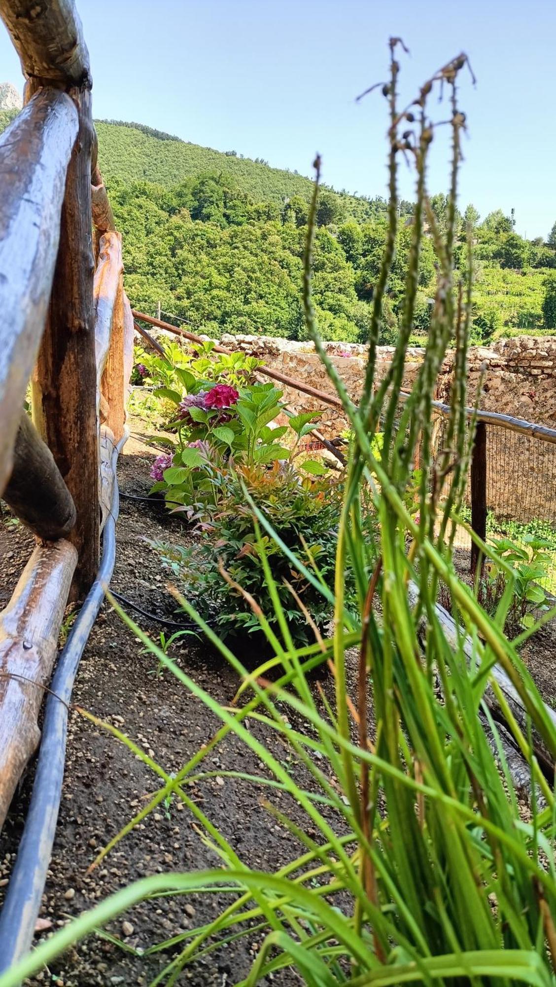 הוילה טרמונטי Casale Forno Vecchio מראה חיצוני תמונה